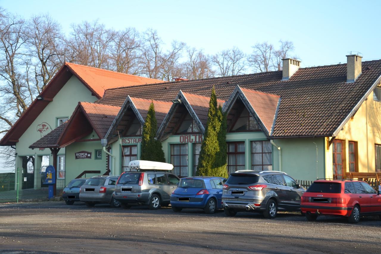 Hotelik Orlik Legnickie Pole Экстерьер фото